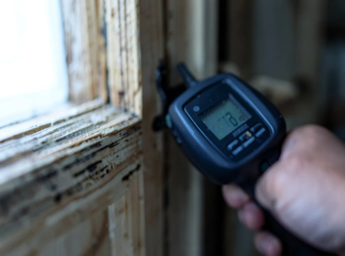 Moisture Inspection And Documentation in Shishmaref, AK